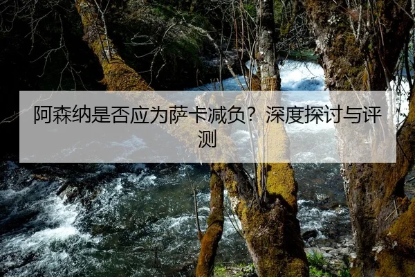 阿森纳是否应为萨卡减负？深度探讨与评测