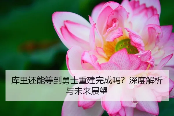 库里还能等到勇士重建完成吗？深度解析与未来展望
